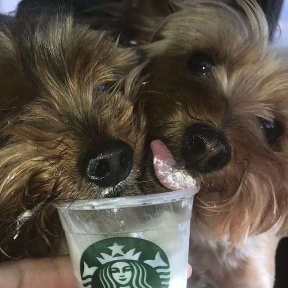 Meet your Posher, Danielle - Picture 1 of 1